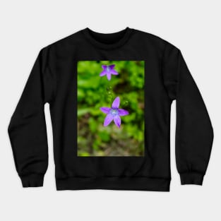 Two campanulas, bellflowers in the meadow Crewneck Sweatshirt